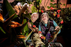 Spring fling for flower show