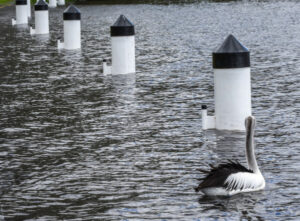 Back to Base festival on the move