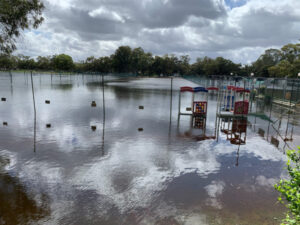 Lawn tennis courts go under