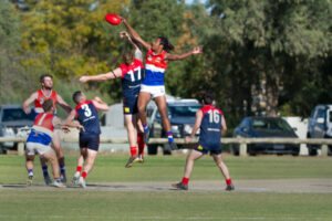 Trio hoping to fly high with Bombers