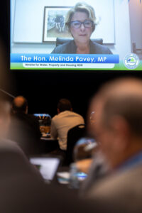 Melinda Pavey offers awkward silence on basin plan targets