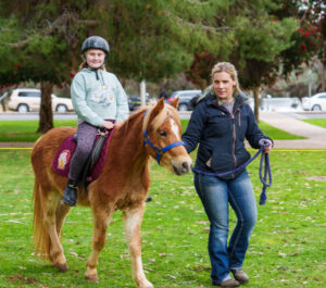 No horsing around at this riding school