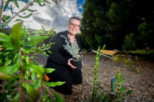 Trees tradition honours mums