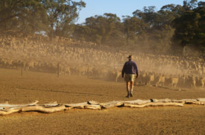 Next ‘big dry’ raising farmer concerns