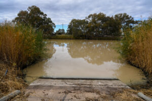 Algae warnings lifted