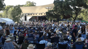 The big crowd at SummerSalt