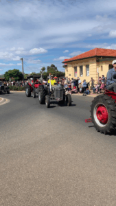 Red Cliffs Centenary