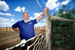 Deadly dog virus on rise in Sunraysia