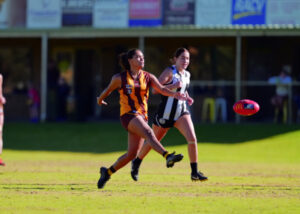 Hawks keep Pies scoreless