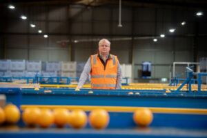 Strong citrus season expected