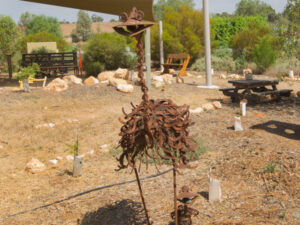 Hopes high for Mildura Eco Village future