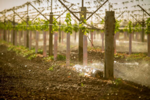 Irrigation at full flow