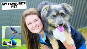 Top dog of the class