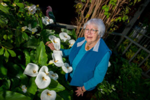 Blooms to beat the gloom at flower show