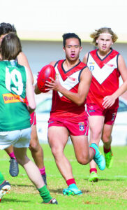 Robinvale/Euston ‘need fresh look’