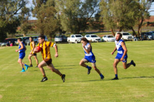 Thomson has Mega Day out with 16 goals