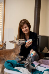 Selfless caring for our wildlife