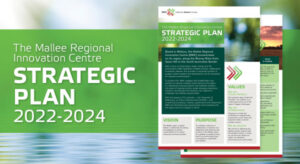 Planning to take ideas further