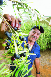 Oil in a day’s work