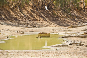 Basin planning must meet future challenges