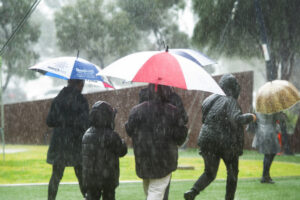 Rain confusion reigns