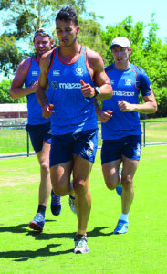 Tarrant retains key role with Kangaroos
