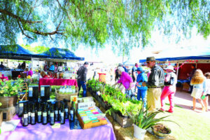 Snappers get snapping