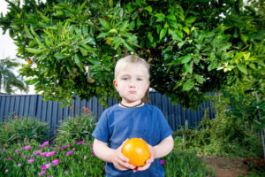 Crooks leave orange seller Charlie with bitter taste