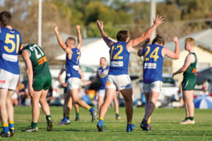 Give new AFL Victoria area manager a go