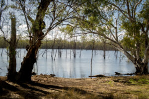 Students’ deep dive on river management