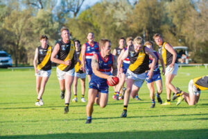 COVID ends SFNL season