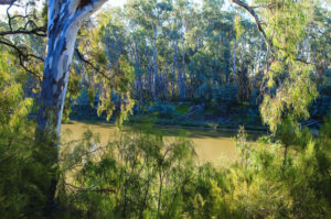 Public has say on park planning