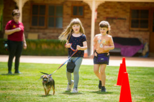 Train your puppy and keep paw behaviour on a leash