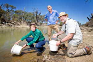 NSW comeback for hardy fish