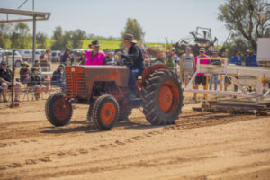 Very good roll up at tractor pull