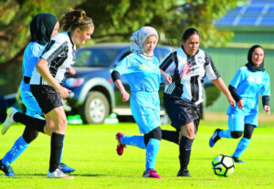 Newcomers hunt for winning edge