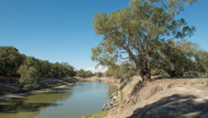 Darling-Baaka dual name proposal wins shire support