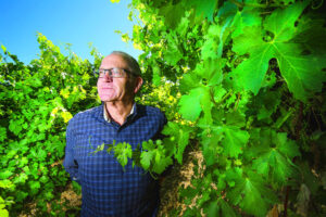 Red’s great grape price