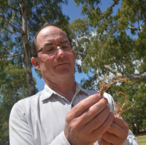 Farming: Soil disease update