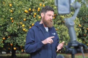 Border backdown rescues Sunraysia citrus growers