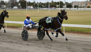 Look out for Khaki Nui in feature race