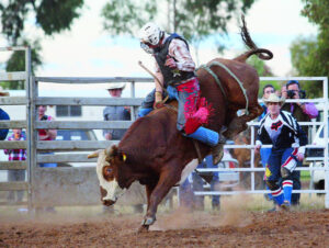 Rodeo bucks into Merbein