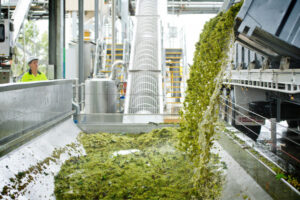 Winecrush remains below 10-year average