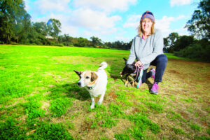 Off the leash: Dog park trial begins in Mildura