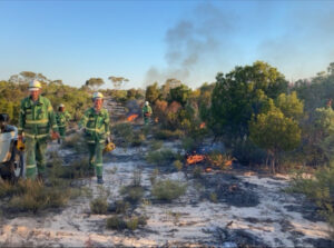 Search on for project firefighters