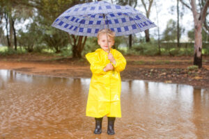 Heavy rainfall soaks Mildura