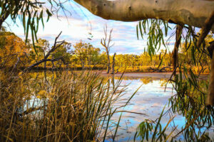 Plan set for gum parks