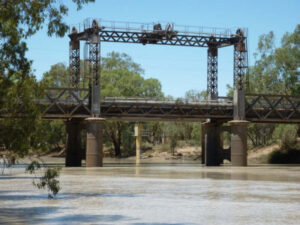 Scientists: Murray Darling environmental flow targets were not met