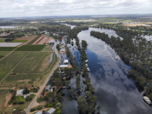 The real reason your insurance premium is so high