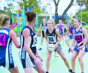 Magpies catch strong wind